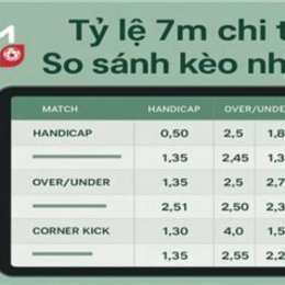 7m -- tỷ lệ bóng đá mà cao