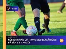 ảnh chụp màn hình điều lệ giải bóng đá 7 người