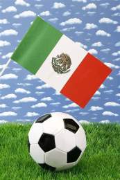 ảnh chụp màn hình giải vô địch bóng đá quốc gia mexico