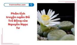 ảnh chụp màn hình phân tích truyện đá trổ bông