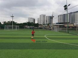 ảnh chụp màn hình sân bóng đá hiếu hoàng long