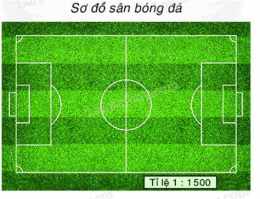 ảnh chụp màn hình tạo sơ đồ bóng đá sân 5