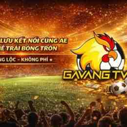 blv gà siêu phệ trực tiếp bóng đá