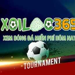 bóng đá 365 trực tiếp