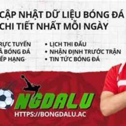 bóng đá lu 43