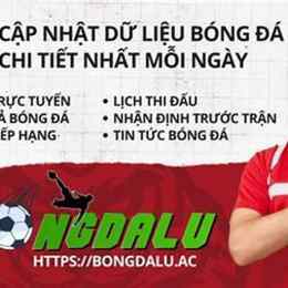 bong đa lu 811