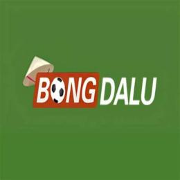 bong da lu.logo
