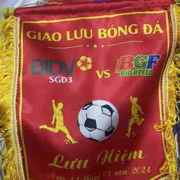 bóng đá lưu 668
