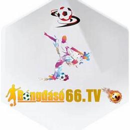 bóng đá số - dữ liệu 66 bong88