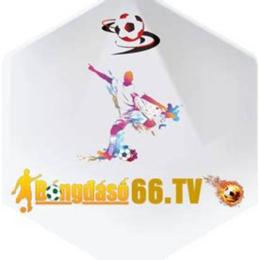bóng đá số - dữ liệu 66 hôm nay