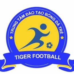 bóng đá tiger cup
