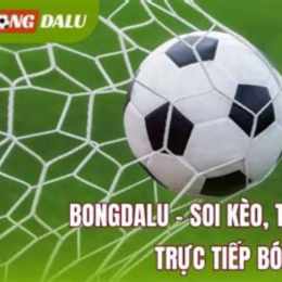 bongdalu cập nhật bxh tin tức bóng đá lu mới 2026
