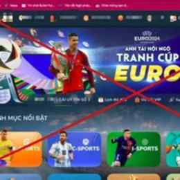 cá độ đá bóng online