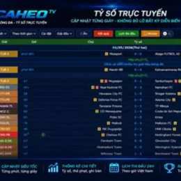 cá heo tv bóng đá