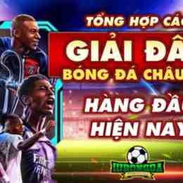 các giải bóng đá lớn nhất thế giới