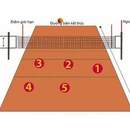 các vị trí trong bóng chuyền da