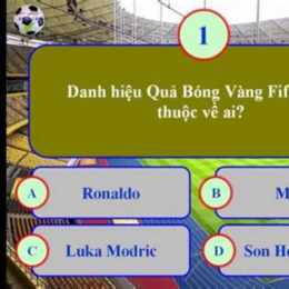 câu hỏi bóng đá