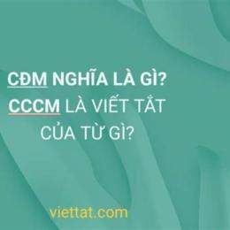 cdm là viết tắt của từ gì trong bóng đá