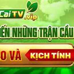 củ cải tv trực tiếp bóng đá