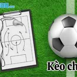 cược chấp trong bóng đá là gì