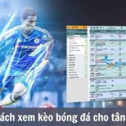 cược kèo bóng đá hôm nay