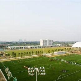 đào tạo bóng đá trẻ