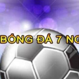 điều lệ giải bóng đá 7 người