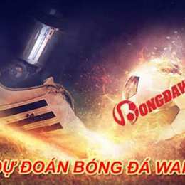 du doan bong da hom nay net