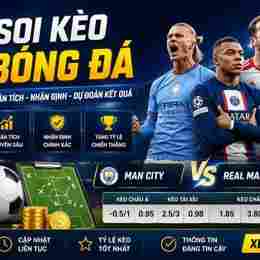 dự đoán bóng đá wc