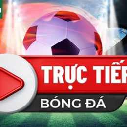 fb88 trực tiếp bóng đá