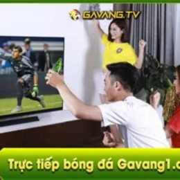 gavang.tv bóng đá