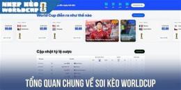giao diện app bóng đá world cup kèo nhà cái