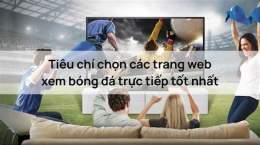 giao diện app các web xem đá bóng