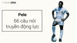 giao diện app cầu thủ bóng đá pele