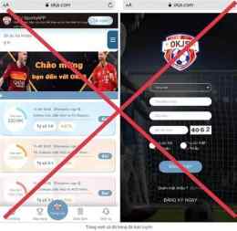 giao diện app công thức cá độ bóng đá
