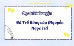 giao diện app đá trổ bông của nguyễn ngọc tư