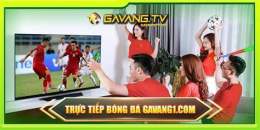 giao diện app gavangtv link trực tiếp bóng đá