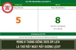 giao diện app lịch bóng đá ngày mùng 8 tháng 7