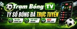giao diện app link bong da trambong tv 8