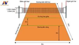 giao diện app lưới bóng chuyền da nam cao bao nhiêu