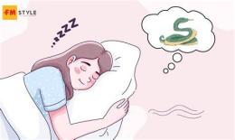 giao diện app nằm mơ đá bóng đánh đề con gì