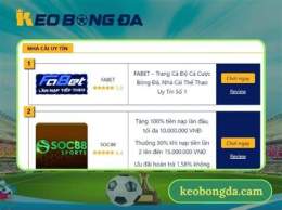 giao diện app nhà cái ra kèo bóng đá hôm nay