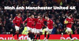 giao diện app nhận định bóng đá manchester united
