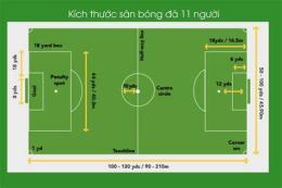 giao diện app tiêu chuẩn sân bóng đá 11 người