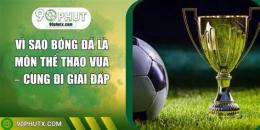 giao diện app vì sao bóng đá là môn thể thao vua