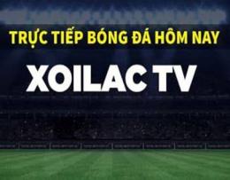 giao diện app xoilac bóng đá trực tiếp hôm nay