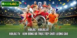 giao diện app xoilac tv bóng đá trực tiếp