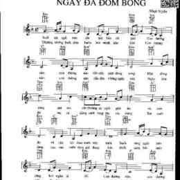 hợp âm ngày đá đơm bông