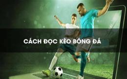 hướng dẫn sử dụng 7m -- tỷ lệ bóng đá mà cao