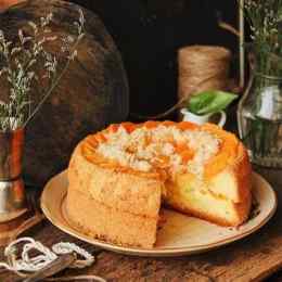 hướng dẫn sử dụng bánh bông lan đà lạt